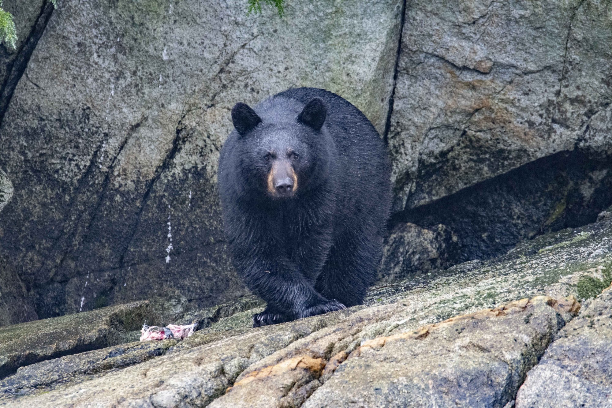Neil's Great Photography Adventures in Alaska.