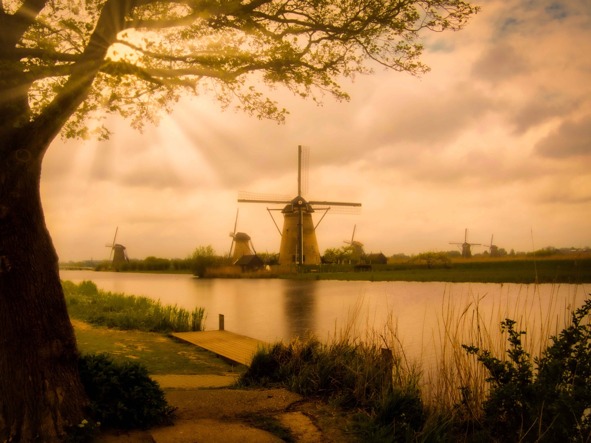 Neil's Great Photography Adventures at Kinderdyk, The Netherlands.