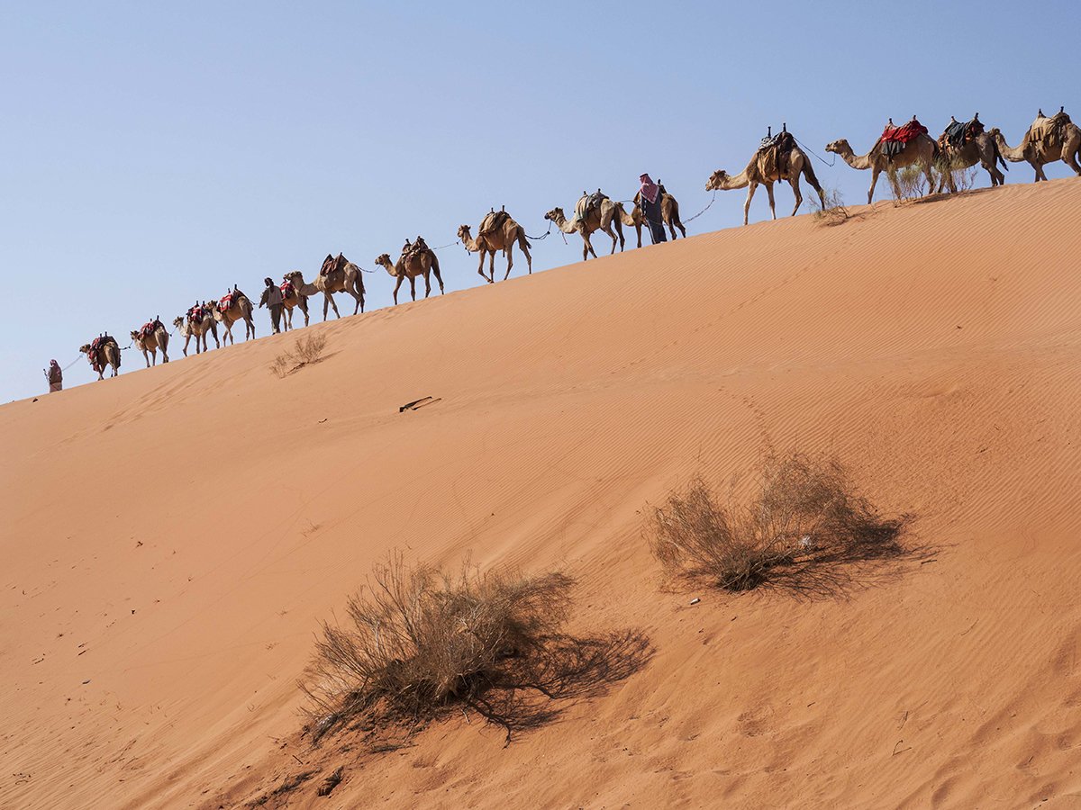 Neil's Great Photography Adventures in Jordan.